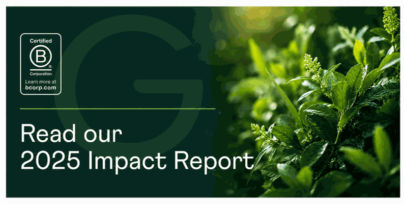 Dark green banner with the text 'Read our 2025 Impact Report', BCORP certification logo on the left, and a background of lush green plants on the right.
